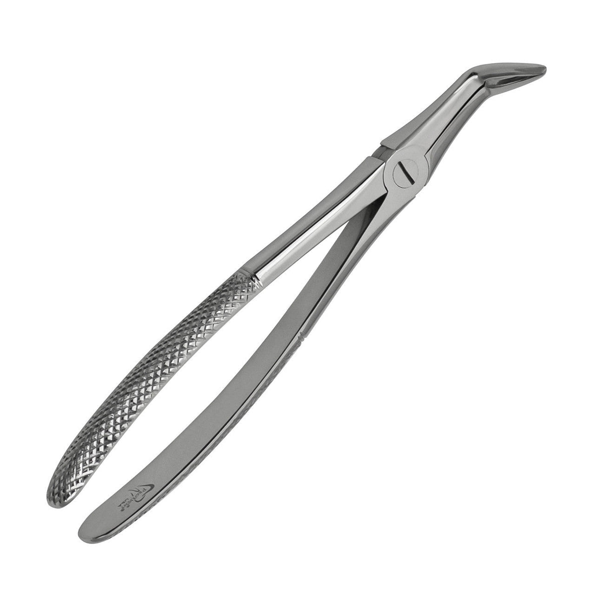 Lower Root Forceps European Style Serrated 1/pk