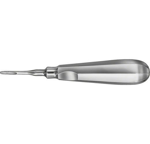 Lindo Levian Root Elevators Serrated Straight 1/Pk