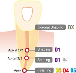 Dia-X NiTi Rotary Files  4/Pk-DiaDent