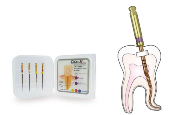 Dia-X NiTi Rotary Files  4/Pk-DiaDent